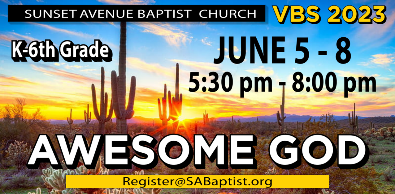 vbs logo 23